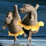 hippos 